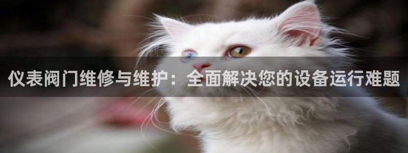新宝gg联系
