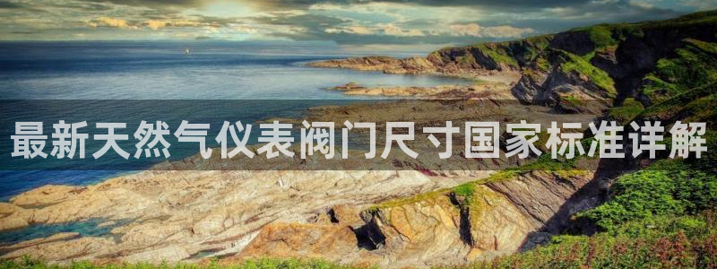 新宝哥gg