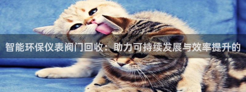 新宝gg技术