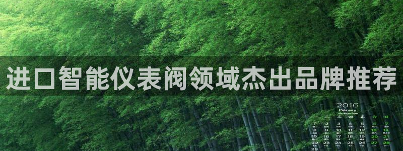 新宝gg违法