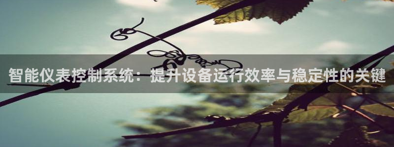新宝 gg 总代理