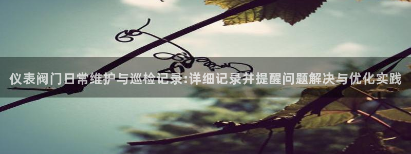 新宝gg入口网址