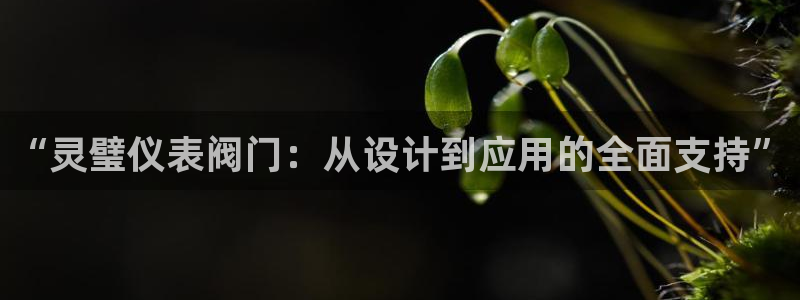 新宝 gg 下载
