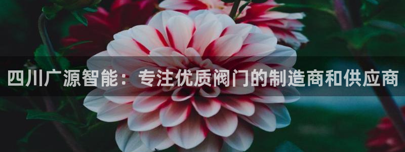 新宝gg干嘛