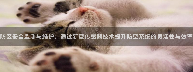 新宝gg网点