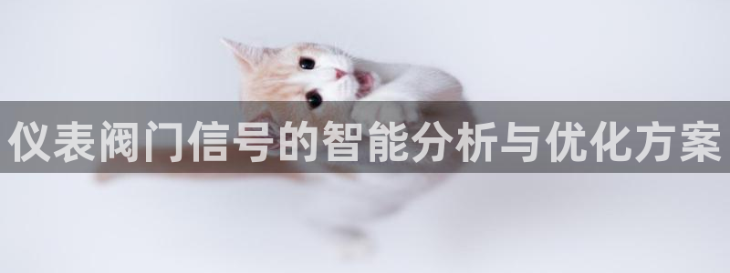 新宝gg — 创造!