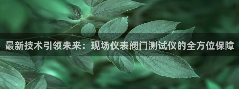 认准新宝gg
