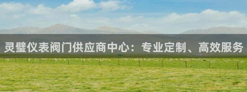 新宝gg开户流程