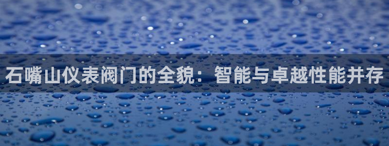 新宝gg主管