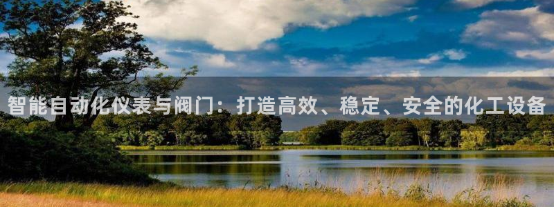 广东新宝电器gg