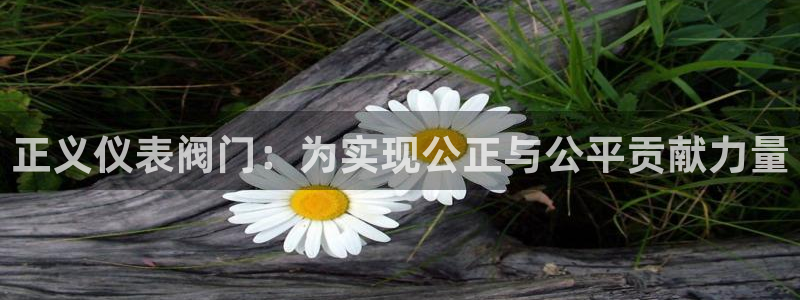 新宝gg工资