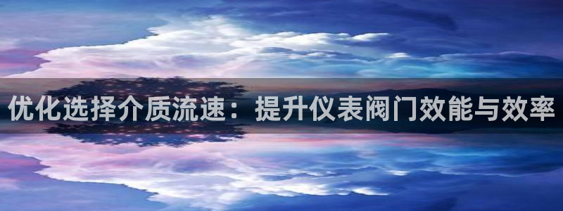 新宝gg介绍