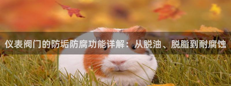 新宝gg违法
