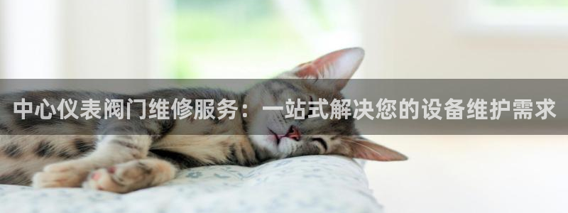 新宝gg龙腾