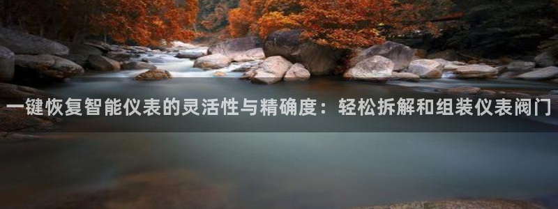 新宝GG电话