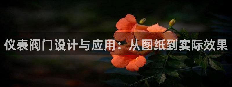 新宝gg信息