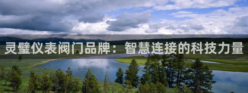 收新宝gg