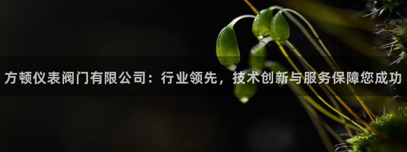 新宝gg dengludizhi