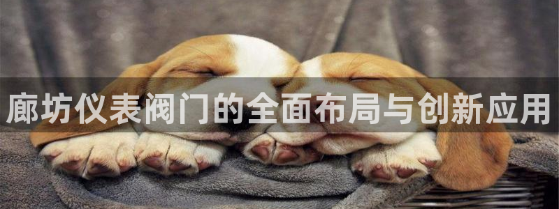 新宝gg体彩