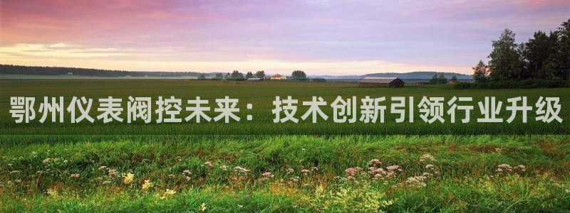 c新宝GG