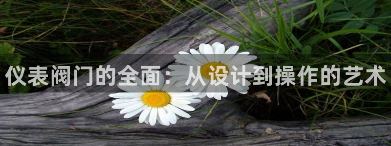 新宝gg平