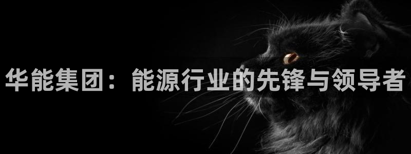 谁有新宝GG