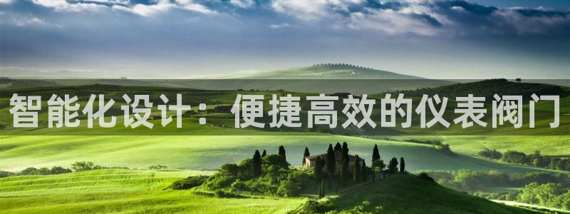 网站是新宝gg
