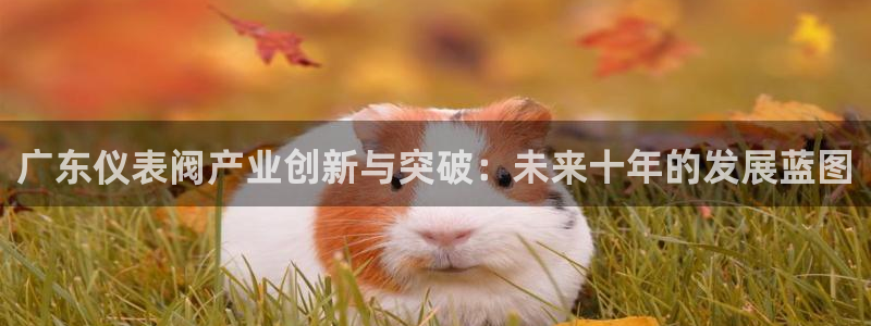 新宝gg游戏平台