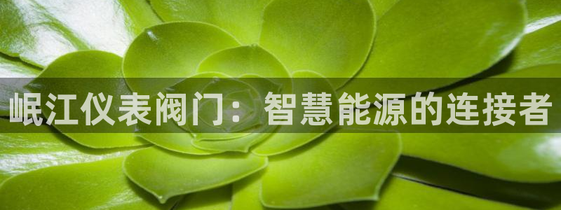 新宝gg返点1956是多少