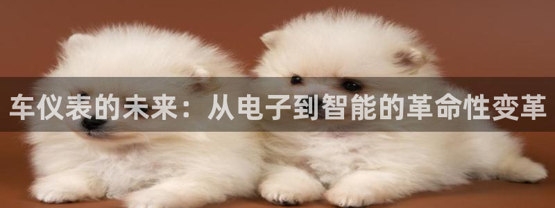 新宝集团gg
