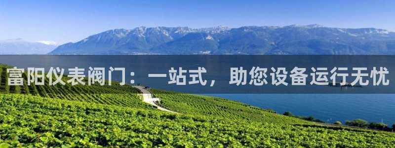 新宝gg招商致胜团队