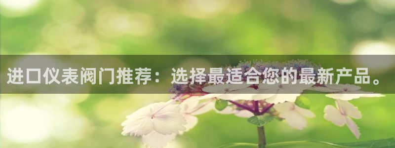 新宝gg 创造奇迹