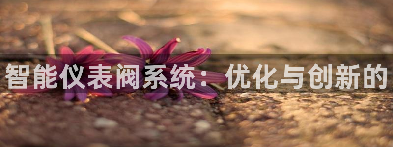 新宝奇迹GG