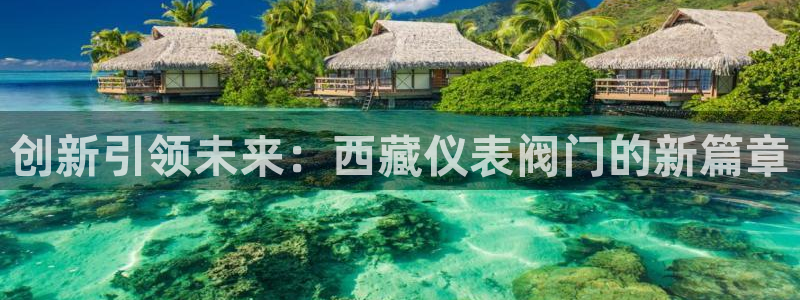 新宝gg--创