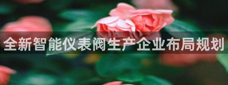 新宝gg一创造奇迹