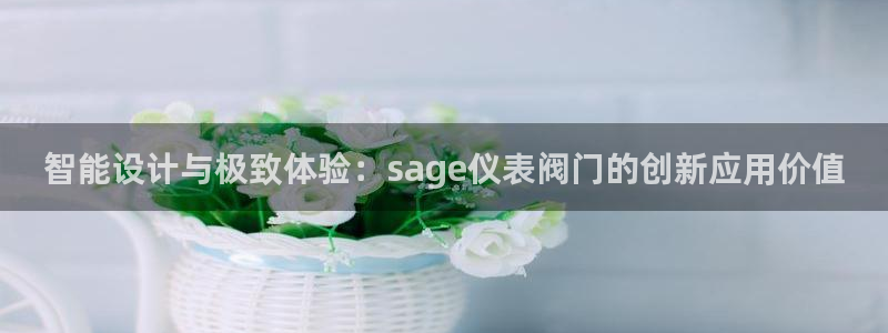 新宝 gg 总代理