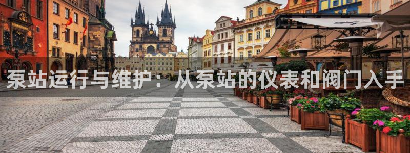 新宝GG管理