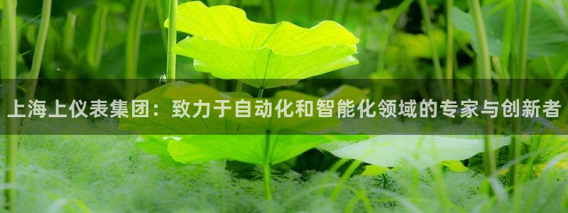 新宝g新宝gg