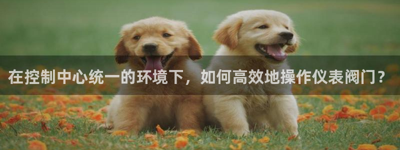 菲律宾新宝gg娱乐