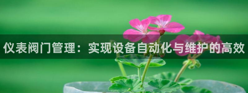 新宝gg娱乐客户端下载