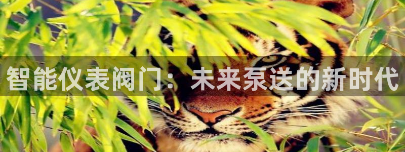 新宝gg平台开户