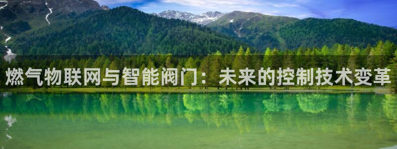 新宝gg是在境外吗