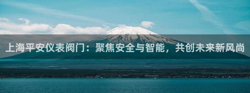 新宝gg8