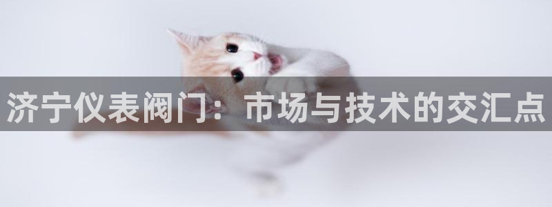 新宝创造Gg