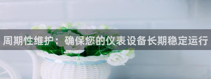 新宝gg 金苹果