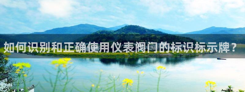 新宝GG无法充值