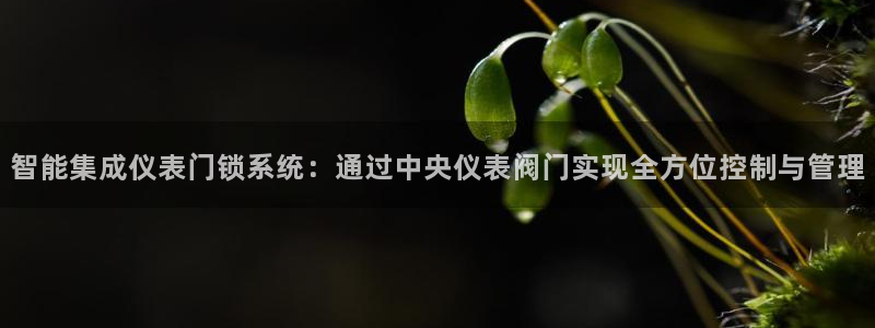 新宝GG登录网页