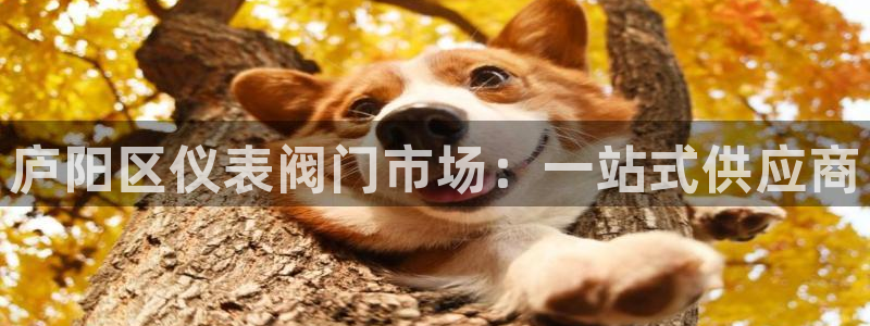 新宝gg创造奇迹平台