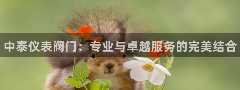 新宝gg如何注册登录