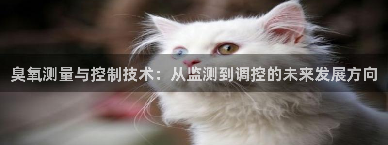 新宝gg下载官网下载